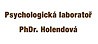 Psychologická laboratoř PhDr. Holendová
